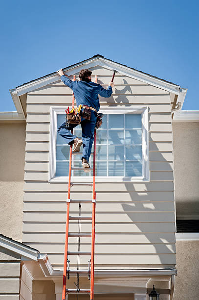 Best Steel Siding Installation  in Battle Creek, NE